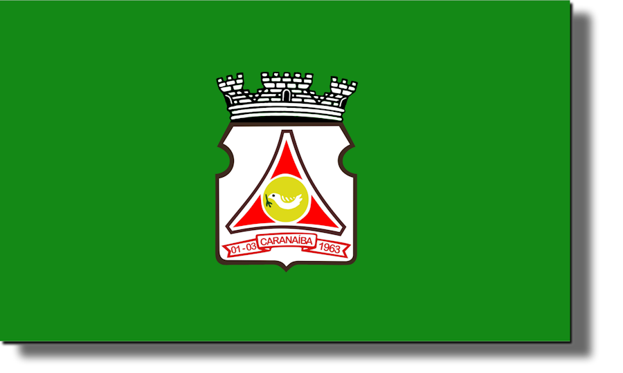 Bandeira oficial do Município de Caranaíba