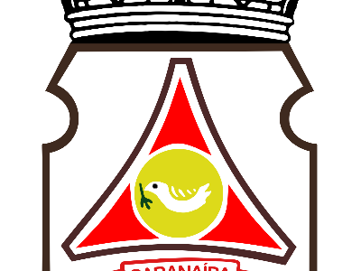 Brasão oficial do Município