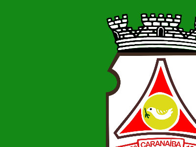 Bandeira oficial do Município de Caranaíba